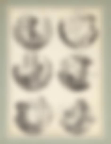 Study sheet (preview)