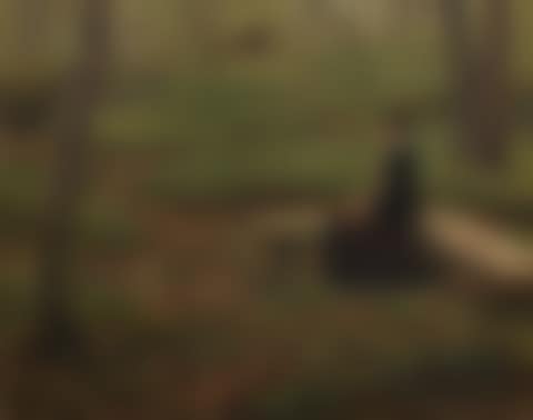 Woman reading surprised by a rider (preview)