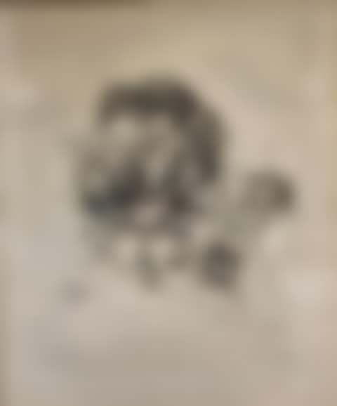 Face with a rose (preview)