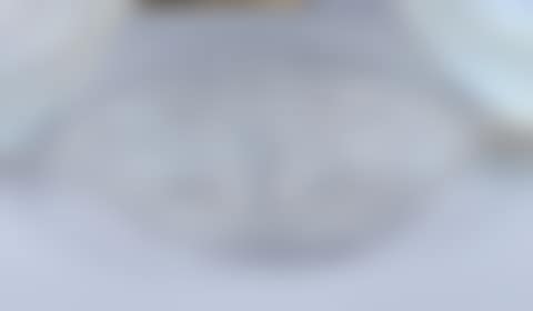 Small shell model plate (preview)