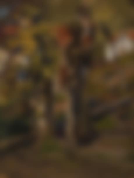 The gate in a village (preview)