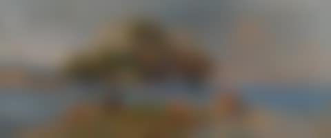 Pines by the sea. (preview)