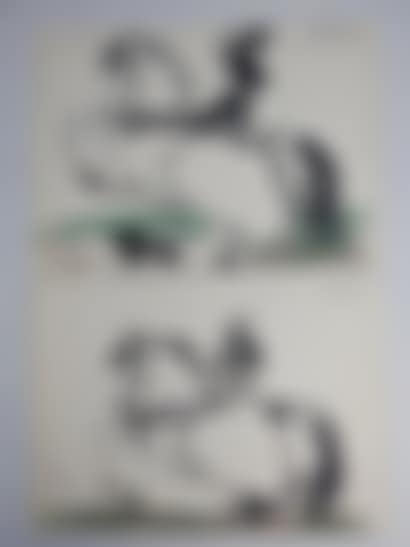 The rider (preview)