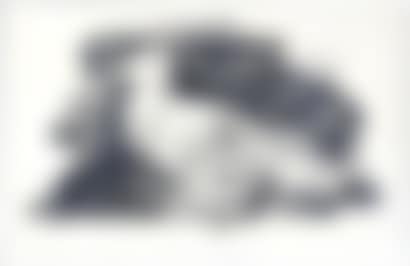 The Pigeon on a Grey Background (preview)