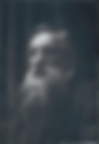 Print of moreau (preview)