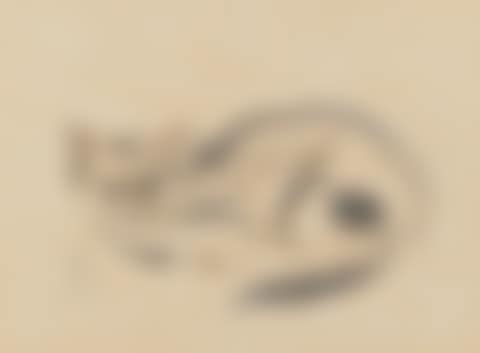 Chat (preview)
