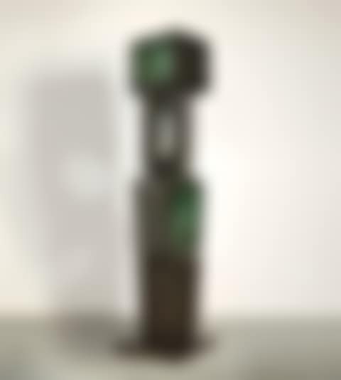 The Family of Man: Figure 2, Ancestor II (preview)