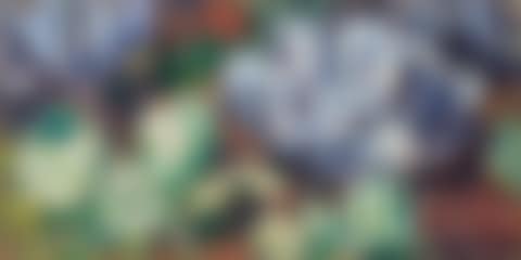 Kohlköpfe (Cabbages) (preview)