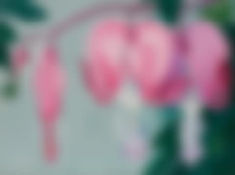 Bleeding Heart I (preview)