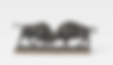 Kämpfende Wisente (preview)