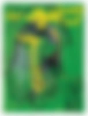 Der schwarze Tod oder Der Triumphator der Lusthöhle (preview)