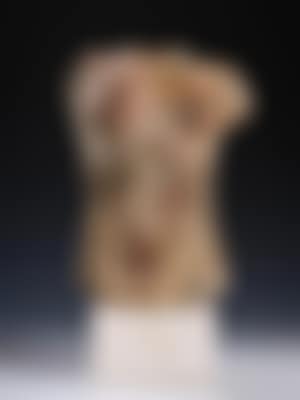 Torso di femmina (preview)