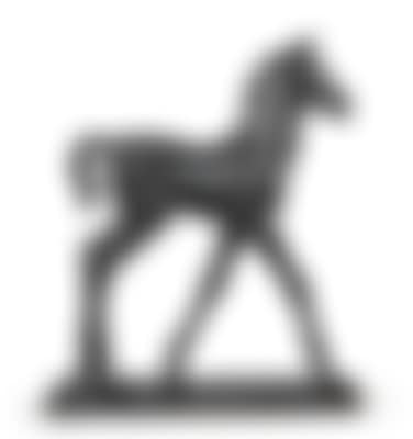 Großes Vollblutfohlen (Tall Thoroughbred Foal) (preview)