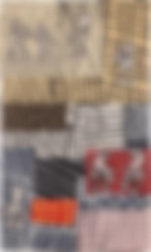 Animation parcellaire (preview)