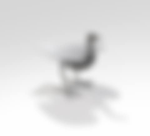 Table Oiseau d"argent (preview)