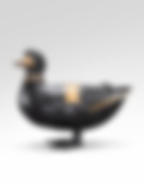 Canard (preview)