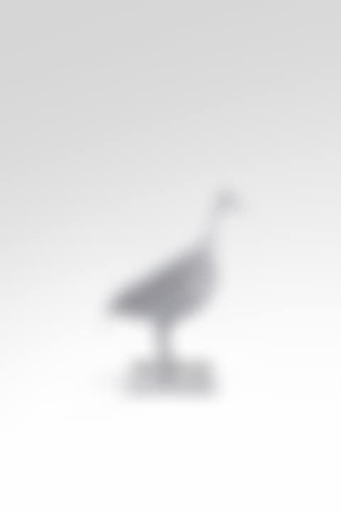 Chaise Oiseau d"argent (preview)