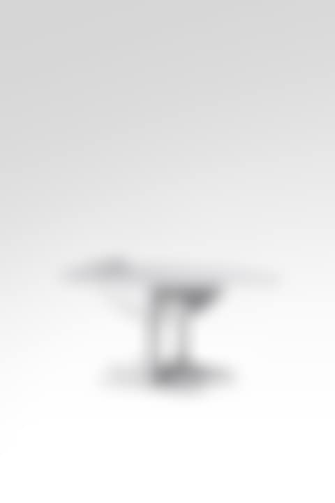 Table de salle à manger Oiseau d"argent (preview)