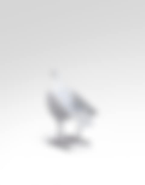 Chaise Oiseau d"argent (preview)