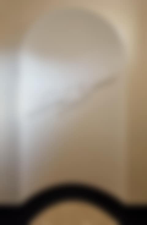 Important and Rare "Oiseau", Curved Version (preview)