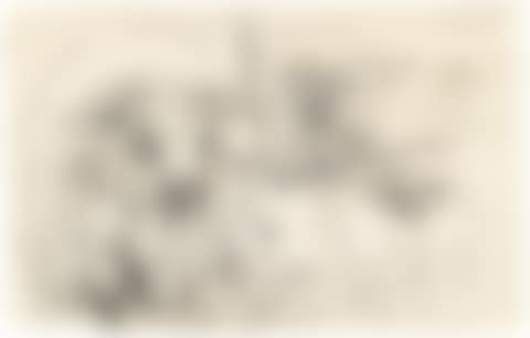 Zwei Kühe (preview)
