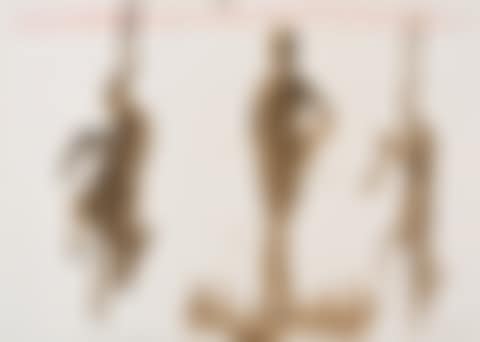 Ohne Titel (aus der Serie "Hanging/Crucified Animals") (preview)