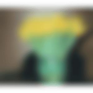 Tulips (P17) (preview)