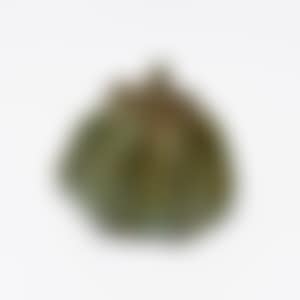 Pumpkin (preview)