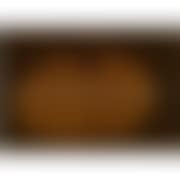 PUMPKIN (Y) (preview)