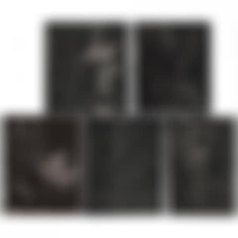 PANURGE (PORTFOLIO OF 5) (preview)