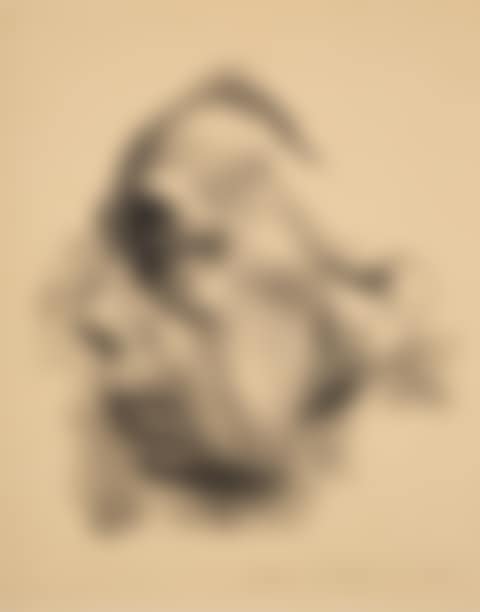 Selbstbildnis im profil. (Self-portrait in profil) (preview)