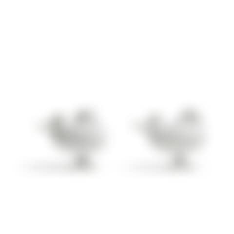 Canards (preview)