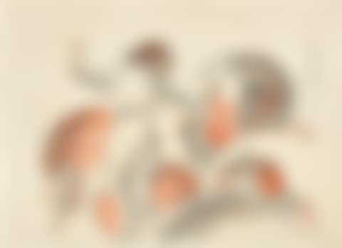 ”Stehender weiblicher Akt mit Kaninchen” (preview)