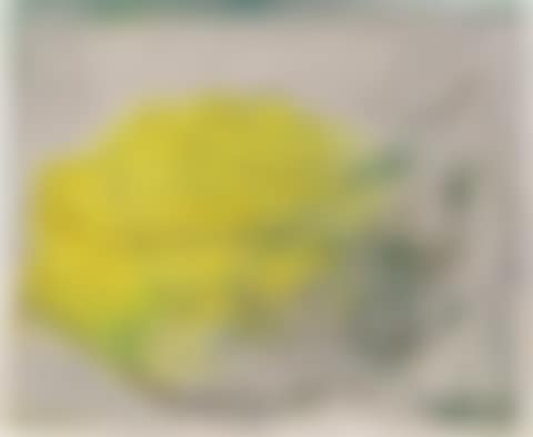 ”21.07.50-Saint-Jeoire - Montagne jaune” (preview)
