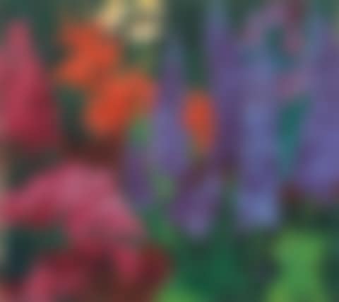 ”Feuerlilien und Rittersporn” (preview)