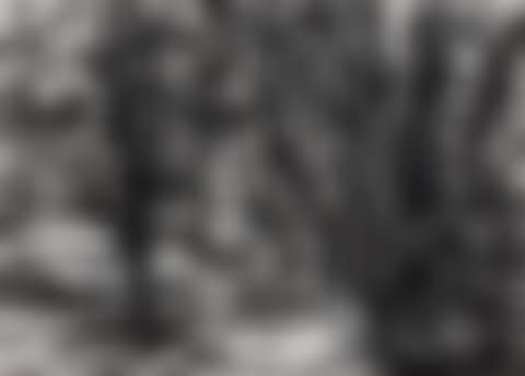 The Edge of the Woods. (preview)
