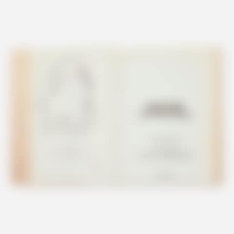 Ukiyo signed book with drawing (preview)