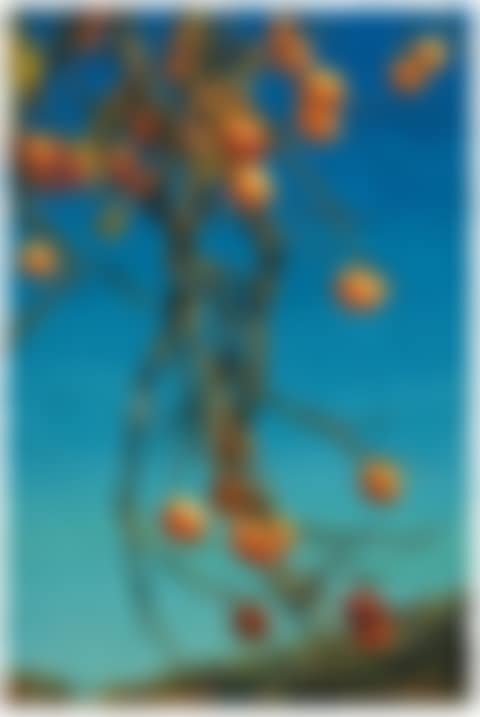 Persimmons (preview)