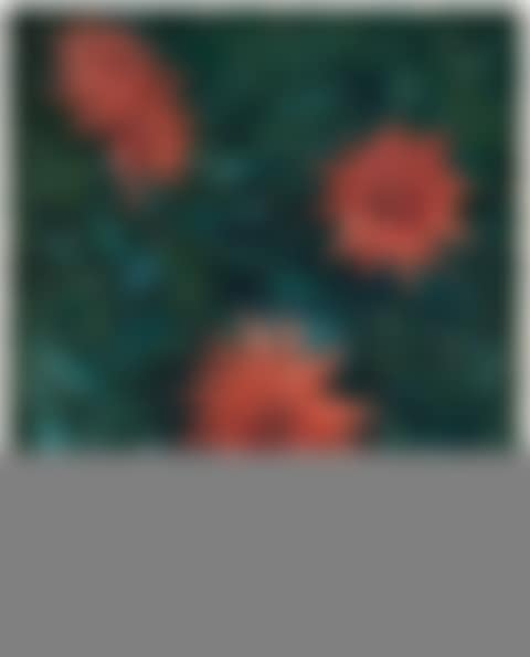 Etude de fleurs, jardin du Petit Gennevilliers (preview)