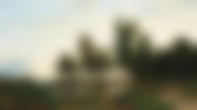 A Swamp Landscape with Travellers (preview)