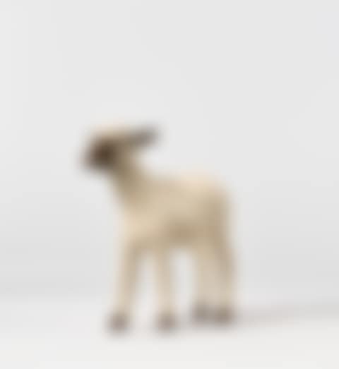 "Agneau", from the "Nouveaux Moutons" Series (preview)