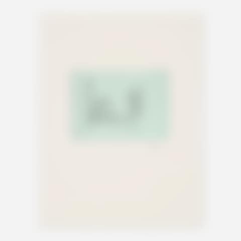 The Hospital (from the Ulysses portfolio) (preview)