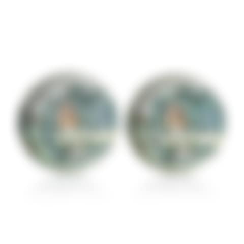 A pair of enamelled landscape dishes (preview)