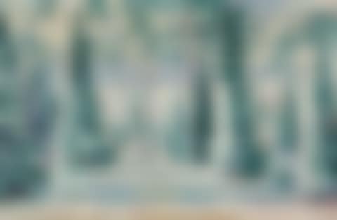 Pine forest (preview)