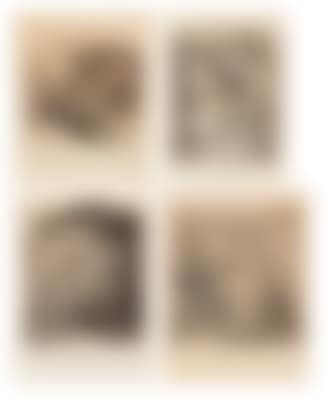 Konvolut von vier Kupferstichen (preview)