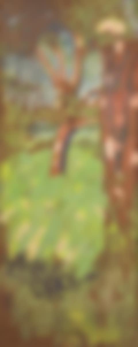 L"Arbre (preview)