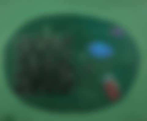 Les Échecs Verts (preview)