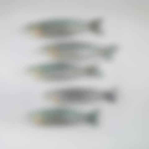 Five Sardine Pillows (preview)