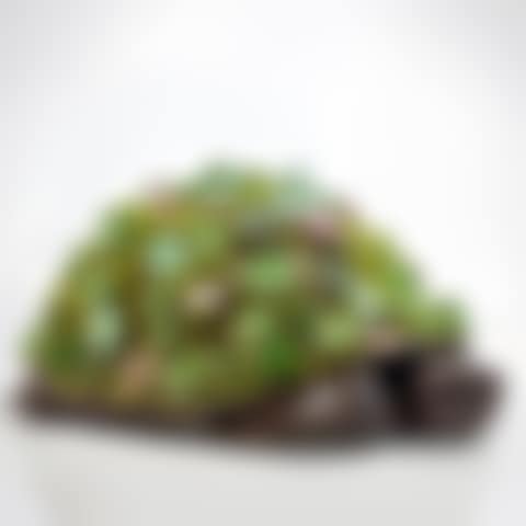 Tortue Topiaire III (preview)