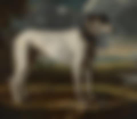 A hound in a landscape (preview)